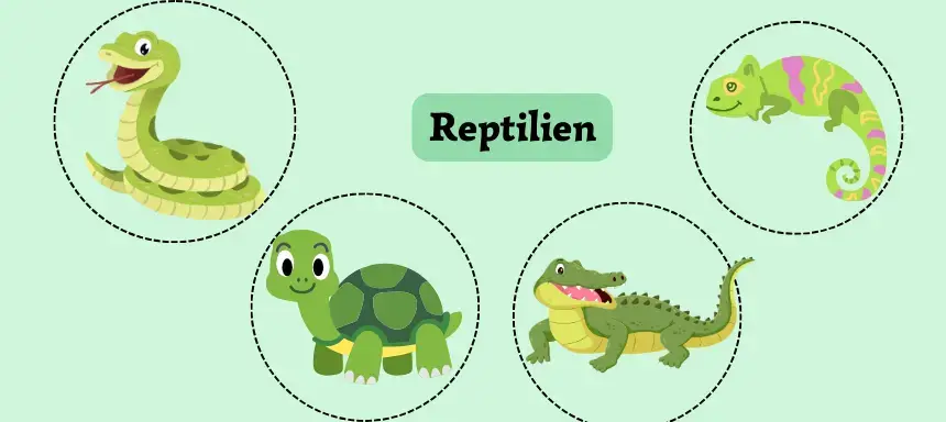 Beispiele Reptilien
