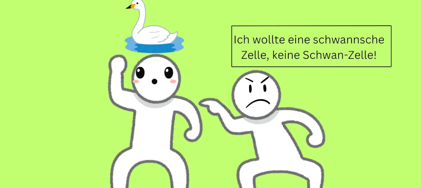schwannsche zelle meme
