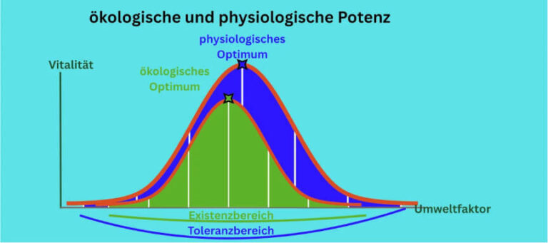 Die Toleranzkurve - einfach und verständlich erklärt