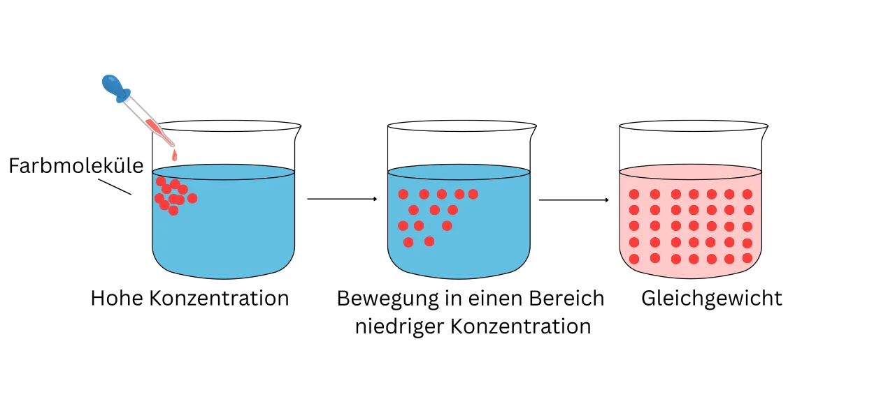 3 Bechergläser, die mit Wasser gefüllt sind. Im ersten wird rote Tinte in das Wasser gegeben. Rote Kreise nah aneinander. Im zweiten sind die Kreise weiter auseinander. Im dritten ist das Wasser rot gefärbt und die Kreise sind angeordnet.