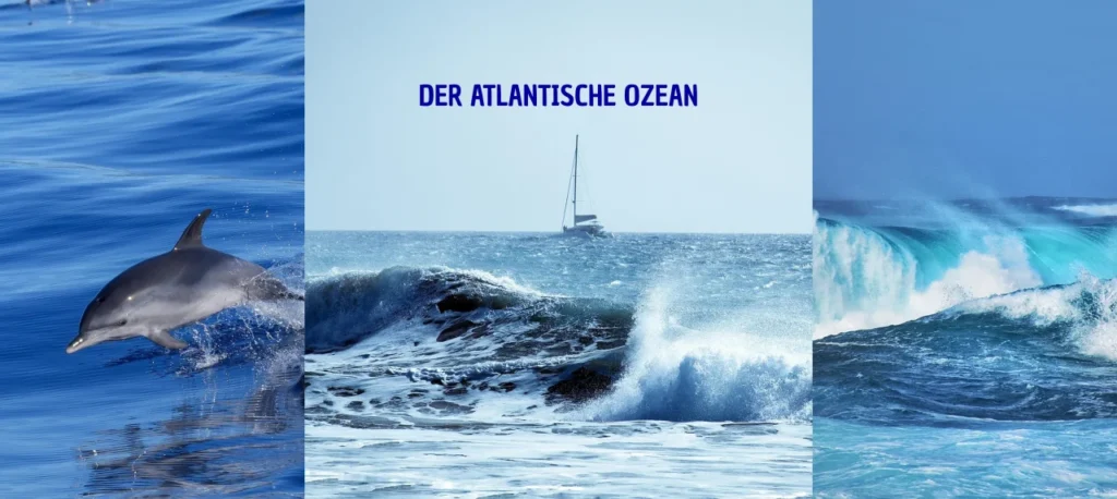 drei Fotos vom Atlantischen Ozean nebeneinander. Das erste zeigt einen Delfin im Wasser, das zweite eine Welle und ein Boot, das dritte zeigt eine Welle.