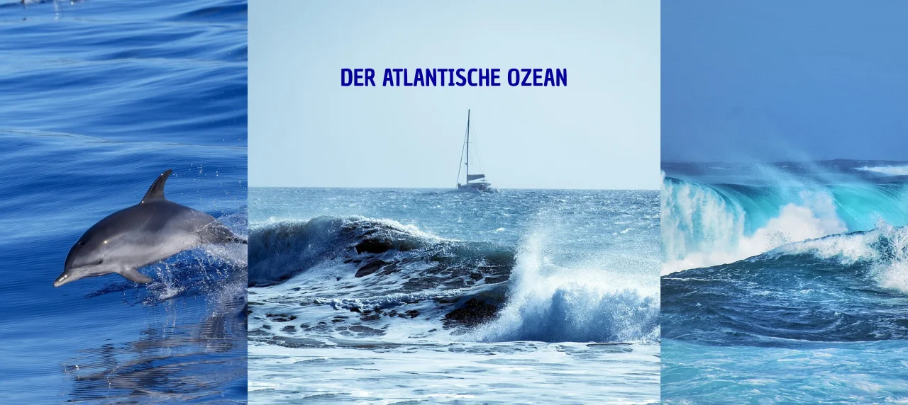 drei Fotos vom Atlantischen Ozean nebeneinander. Das erste zeigt einen Delfin im Wasser, das zweite eine Welle und ein Boot, das dritte zeigt eine Welle.