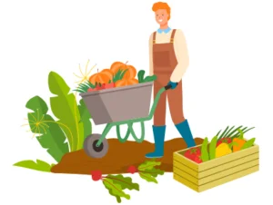 Aufgaben der Bauern Bauer mit Schubkarre mit Kürbissen.