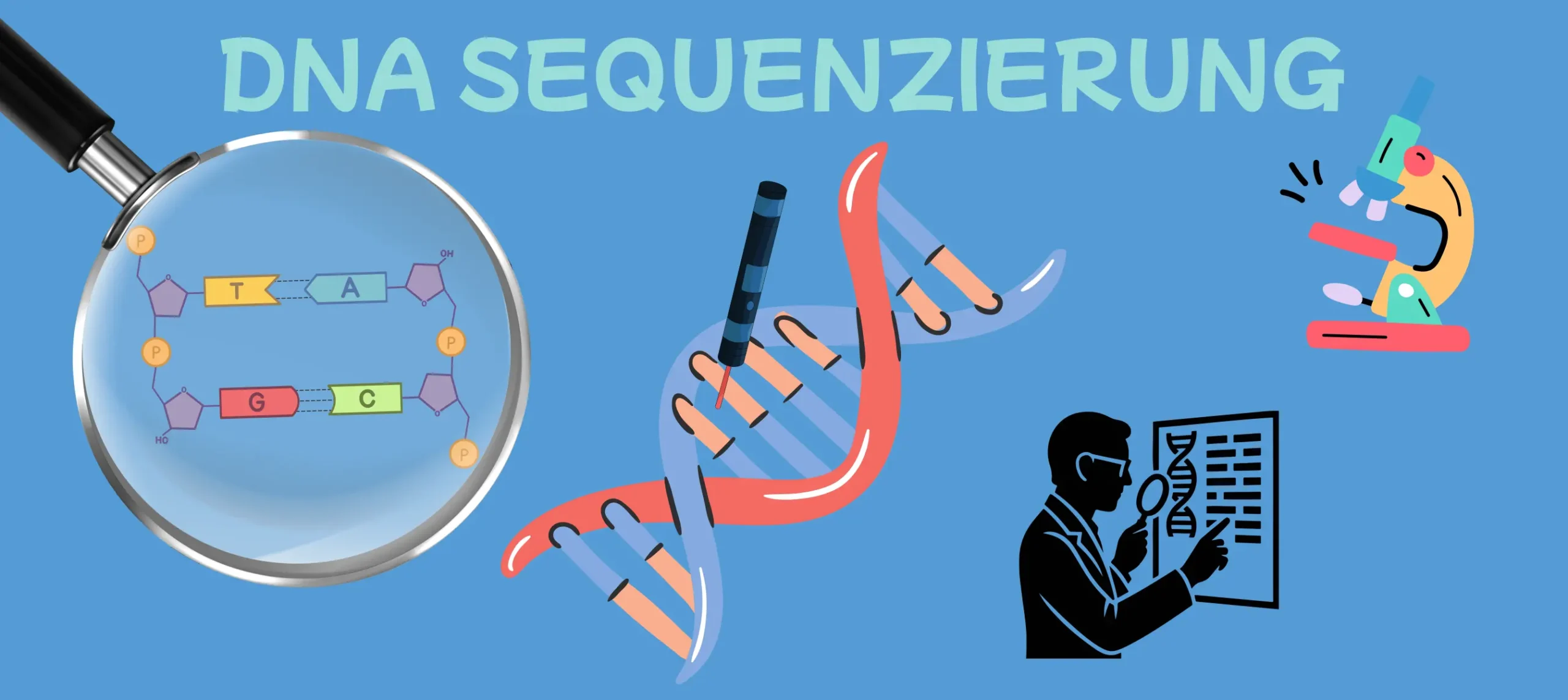 DNA Sequenzierung
