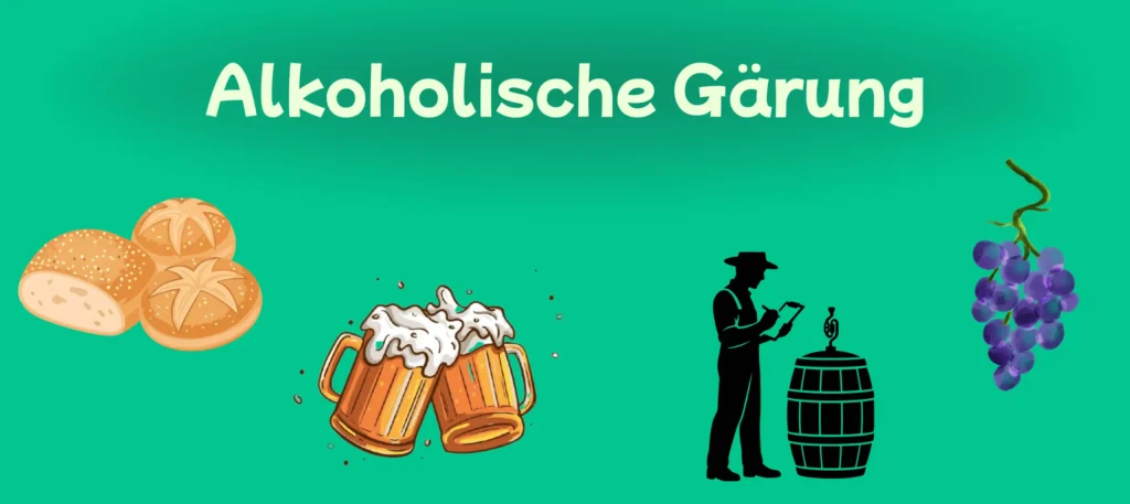 alkoholische Gärung