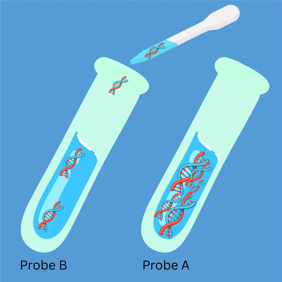 dna sequenzierung nach sanger Abschnitt 1 dna sequenzierung nach sanger abschnitt 1