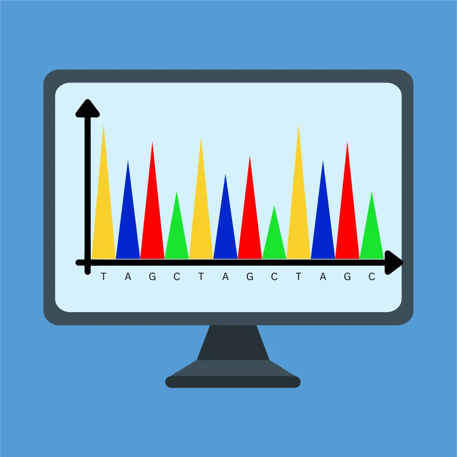 dna sequenzierung nach sanger abschnitt 4 dna sequenzierung nach sanger abschnitt 4