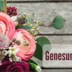 genesungswünsche