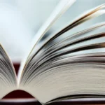 professionelle übersetzer