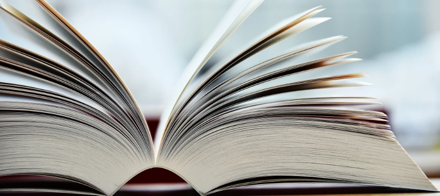 professionelle übersetzer