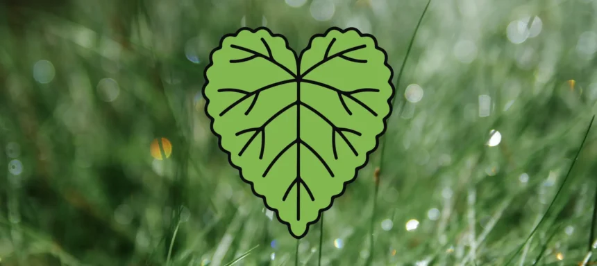 Deutschlands Flüsse