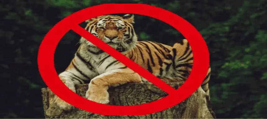 Liste der gefährlichsten Tiere der Welt