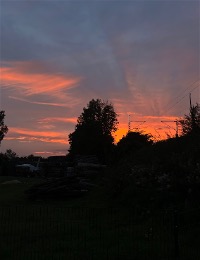 Nachhilfe in von Nikola