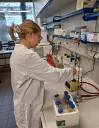 Online Nachhilfelehrer Lucie