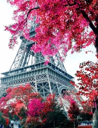 Nachhilfe in berlin-marzahn von Uziel