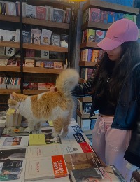 Sprachunterricht in moenchengladbach von Hira